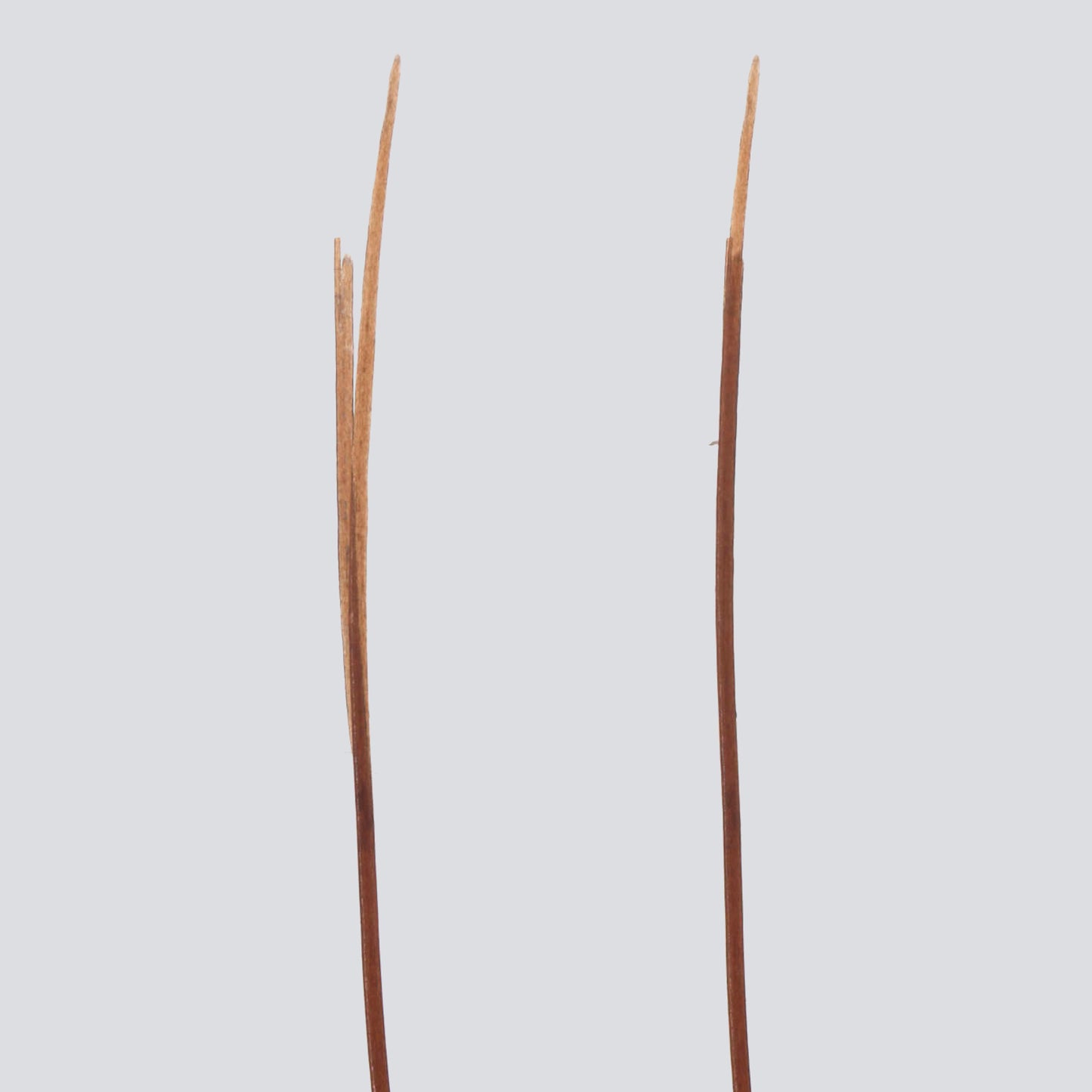 SPLIT END SERUM Micro-Mends | Fortifies | Seals
