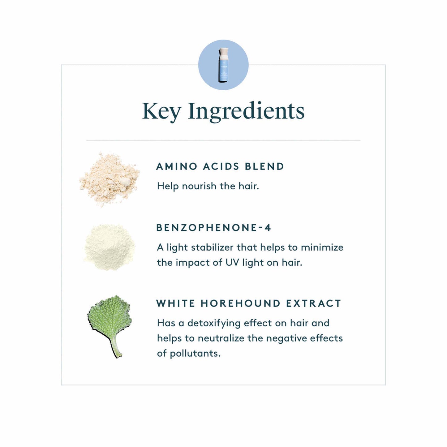 PURIFYING LEAVE-IN CONDITIONER Detangles | Protects | Nourishes