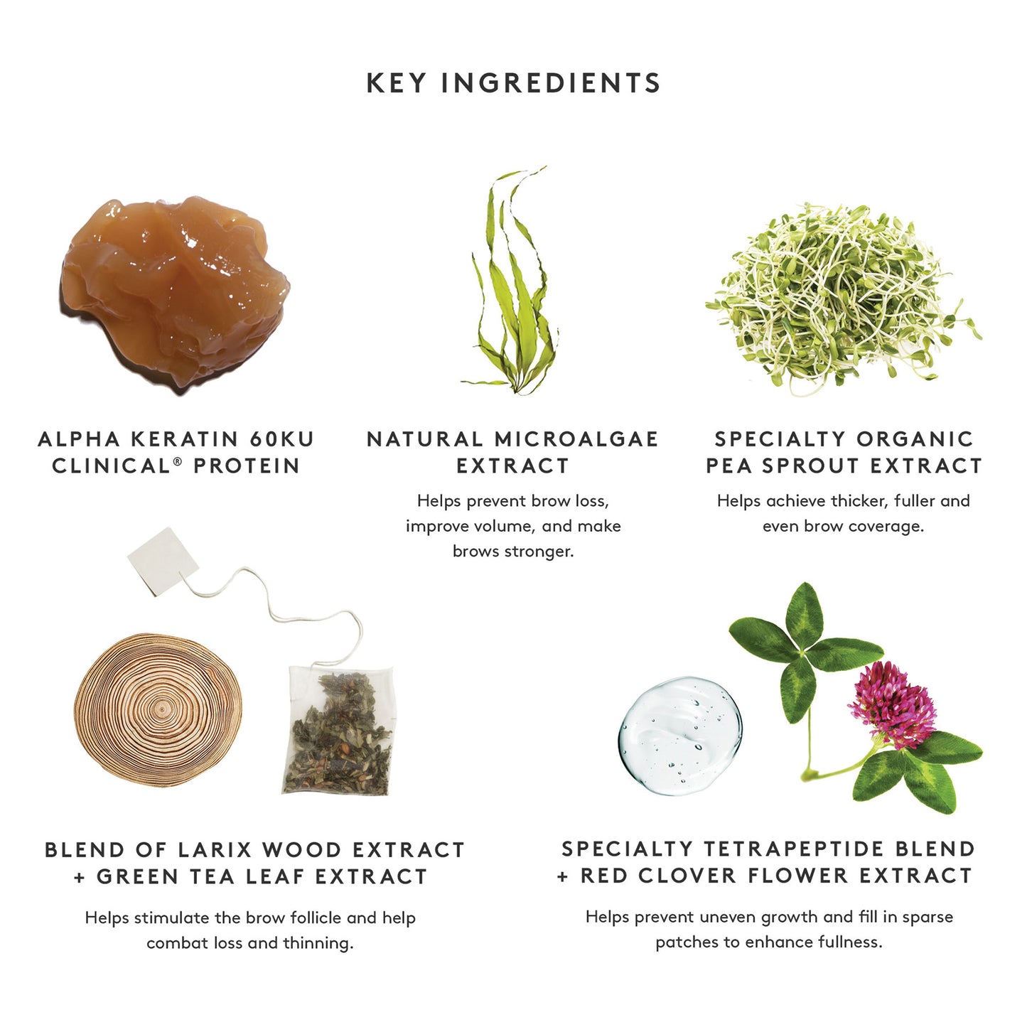 BROW DENSITY BOOSTER Nourishes | Thickens | Strengthens