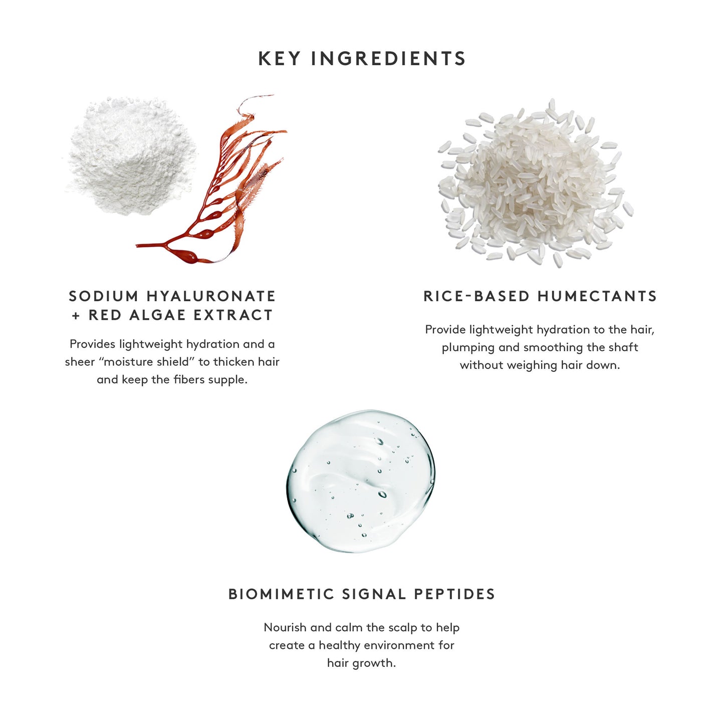 SHAMPOO FOR THINNING HAIR Detoxifies | Volumizes | Repairs