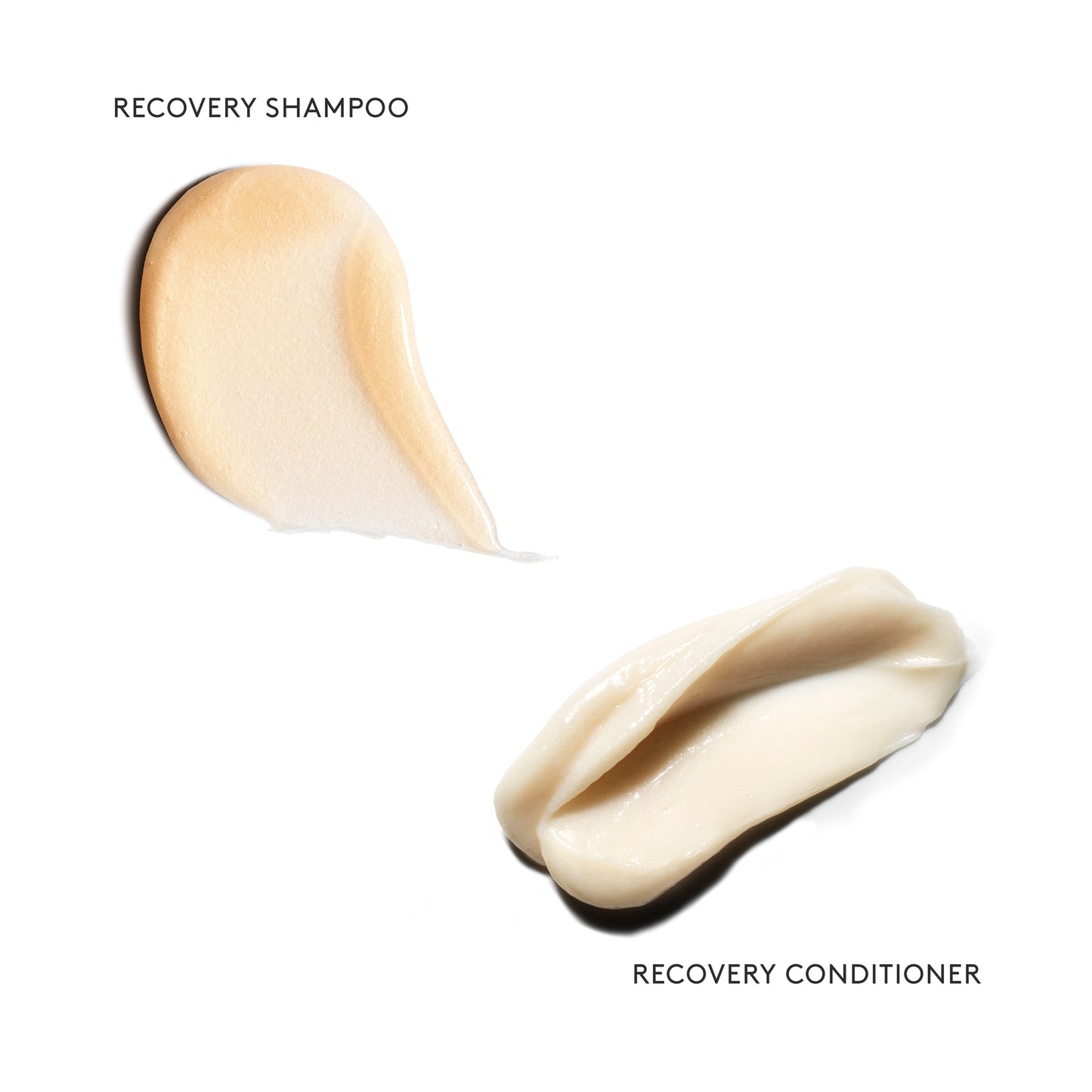 RECOVERY CONDITIONER Hydrates | Softens | Renews